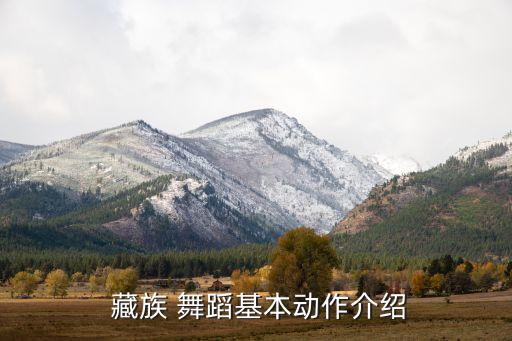  藏族 舞蹈基本动作介绍