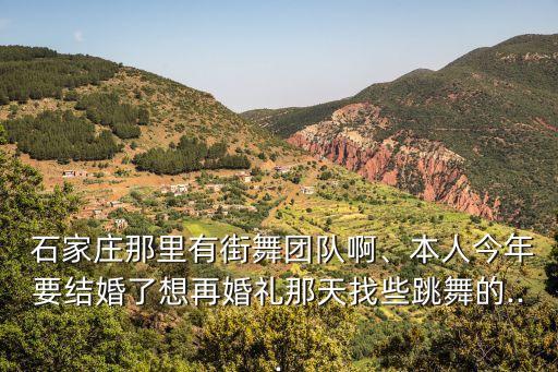 河北石家庄舞蹈演出视频,红梅赞专业演出舞蹈视频