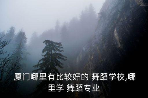 厦门最大的舞蹈培训,厦门成人舞蹈培训哪里出名