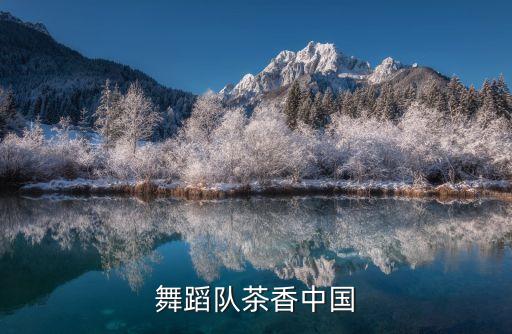 暗香舞蹈队茶香中国