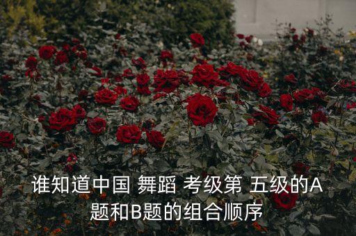 谁知道中国 舞蹈 考级第 五级的A题和B题的组合顺序