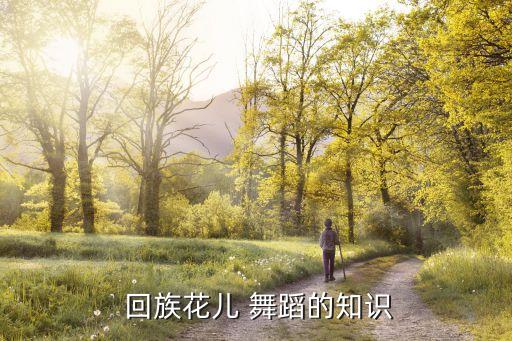  回族花儿 舞蹈的知识