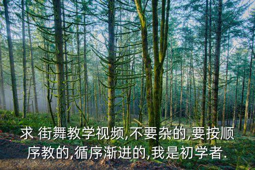 求 街舞教学视频,不要杂的,要按顺序教的,循序渐进的,我是初学者.