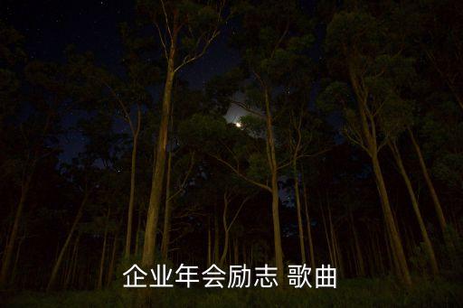 企业年会励志 歌曲