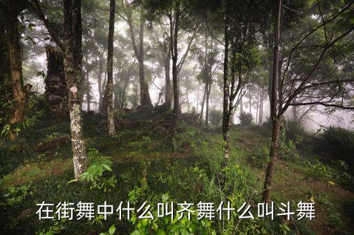 在街舞中什么叫齐舞什么叫斗舞