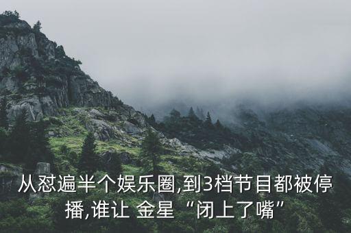 从怼遍半个娱乐圈,到3档节目都被停播,谁让 金星“闭上了嘴”