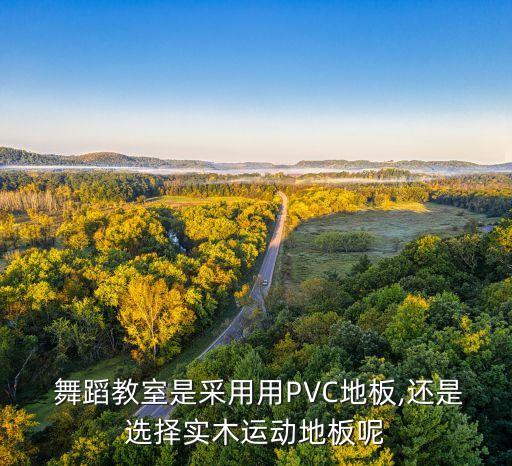 舞蹈训练室 01