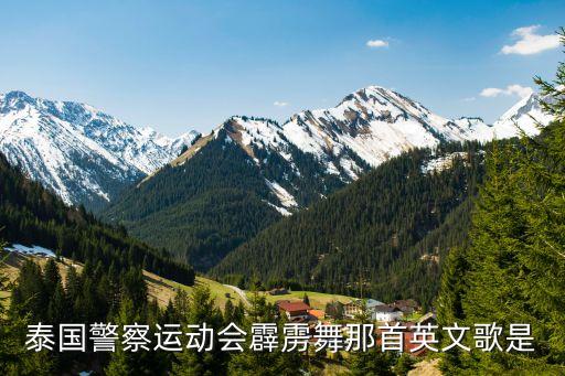 saidi舞蹈,藤杖舞saidi是什么意思