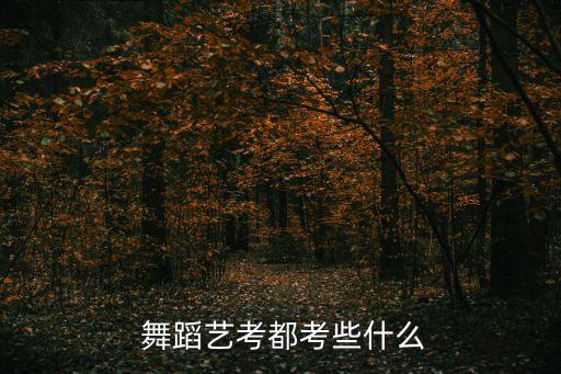  舞蹈艺考都考些什么