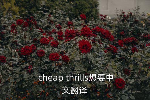  cheap thrills想要中文翻译
