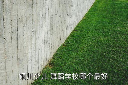 铜川少儿 舞蹈学校哪个最好