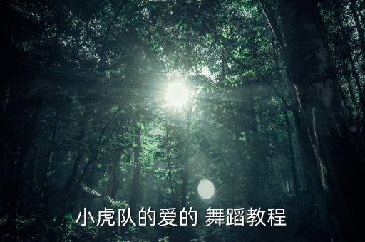 小虎队的爱的 舞蹈教程
