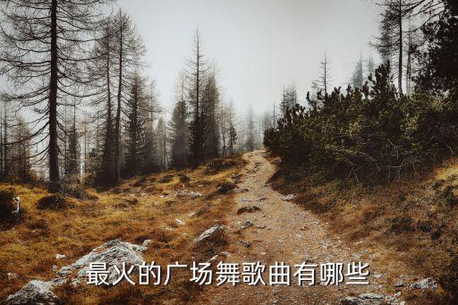 最炫民族风舞蹈大全集,新版最炫民族风舞蹈视频