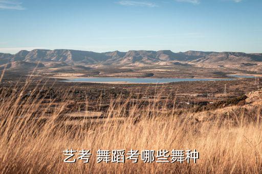 即兴舞蹈有什么命题,CCTV舞蹈大赛命题即兴