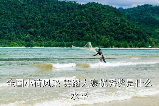 全国小荷风采 舞蹈大赛优秀奖是什么水平