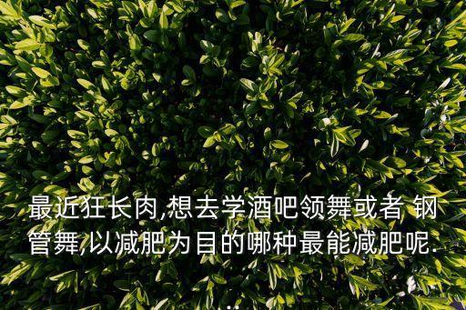 最近狂长肉,想去学酒吧领舞或者 钢管舞,以减肥为目的哪种最能减肥呢...
