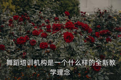 舞蹈班课程特色简介,舞蹈课程特色怎么写