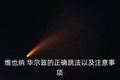 维也纳 华尔兹的正确跳法以及注意事项
