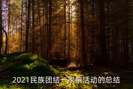 2021民族团结一家亲活动的总结