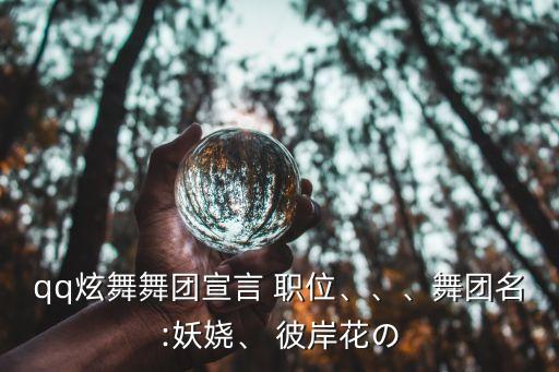 qq炫舞舞团宣言 职位、、、舞团名:妖娆、 彼岸花の