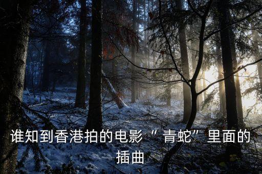 谁知到香港拍的电影“ 青蛇”里面的插曲