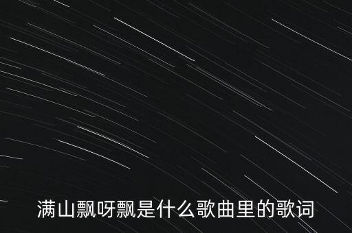 满山飘呀飘是什么歌曲里的歌词