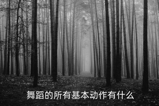  舞蹈的所有基本动作有什么