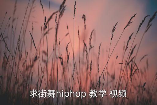 求街舞hiphop 教学 视频