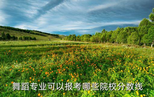  舞蹈专业可以报考哪些院校分数线