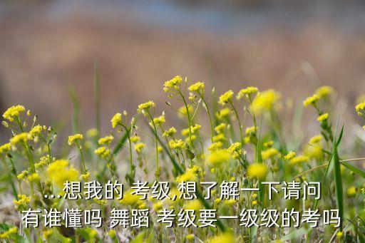 ...想我的 考级,想了解一下请问有谁懂吗 舞蹈 考级要一级级的考吗