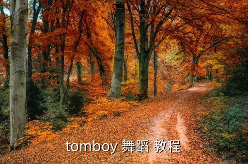 tomboy 舞蹈 教程