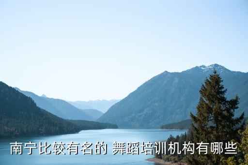 红星舞蹈学校,小红星舞蹈视频完整版