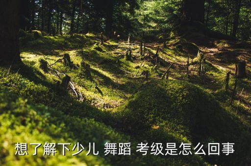 想了解下少儿 舞蹈 考级是怎么回事