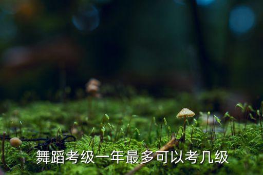 民族舞9级舞蹈