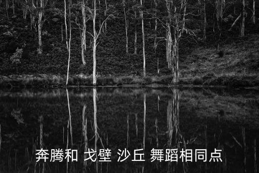 奔腾和 戈壁 沙丘 舞蹈相同点