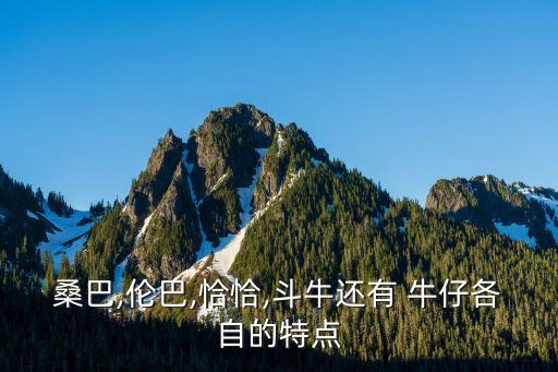 桑巴,伦巴,恰恰,斗牛还有 牛仔各自的特点