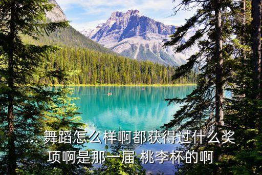 彝族舞蹈视频桃李杯,雪中梅舞蹈视频桃李杯