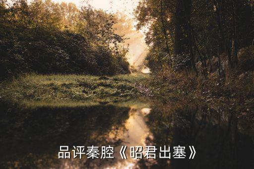 舞蹈 王昭君,舞蹈王昭君鸿雁飞穿什么样的衣服和鞋子跳,要视频
