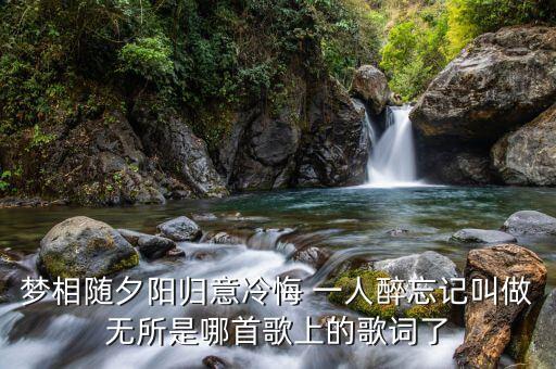 梦相随夕阳归意冷悔 一人醉忘记叫做无所是哪首歌上的歌词了