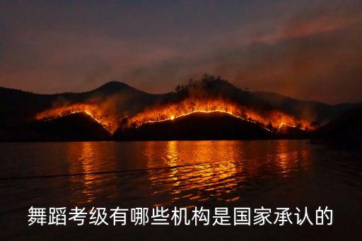 舞蹈考级有哪些机构是国家承认的