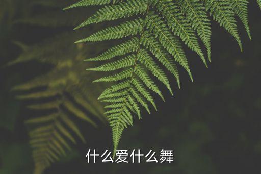 什么爱什么舞