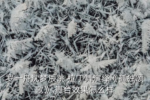 罗一舟沈梦辰跳 拉丁舞演绎《孤独颂歌》,舞台效果怎么样