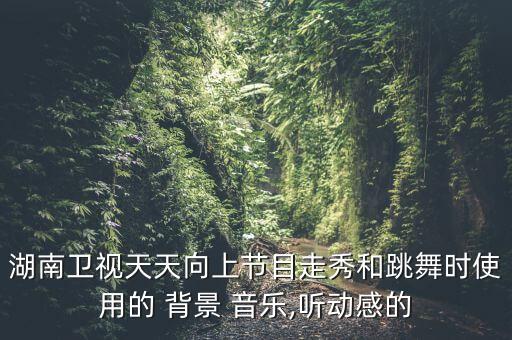 中国好舞蹈史孙豪背景音乐