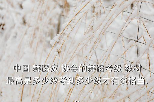 中国 舞蹈家 协会的舞蹈考级 教材最高是多少级考到多少级才有资格当...