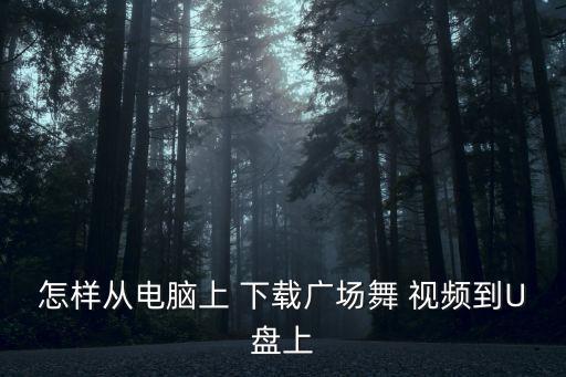 怎样从电脑上 下载广场舞 视频到U盘上