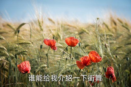 谁能给我介绍一下街舞