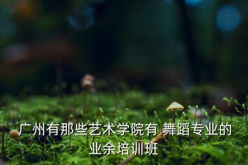  广州有那些艺术学院有 舞蹈专业的业余培训班