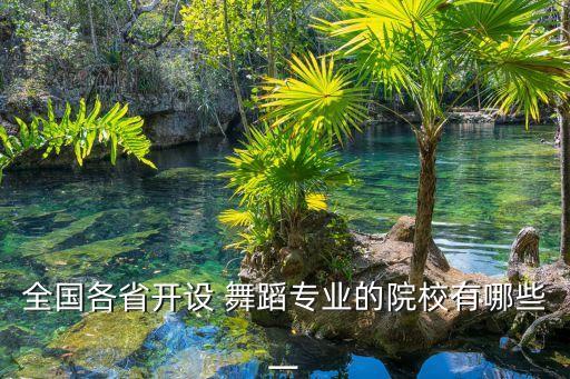 全国各省开设 舞蹈专业的院校有哪些一
