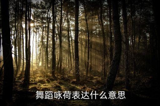 舞蹈咏荷适合考试吗