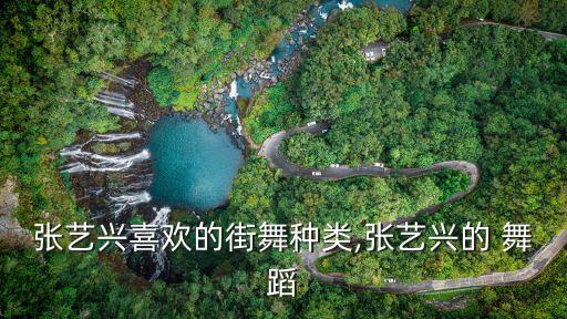 张艺兴喜欢的街舞种类,张艺兴的 舞蹈